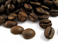 Togo hosts major roundtable to promote African robusta output