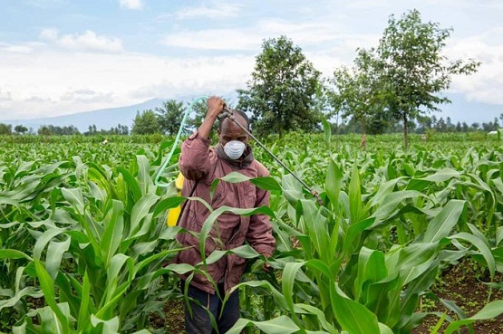 Togo : la BAD accorde un don de 5 millions $ pour soutenir 25 500 producteurs agricoles