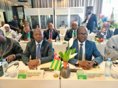 Cashew: Togo takes part in two major meetings in Abidjan