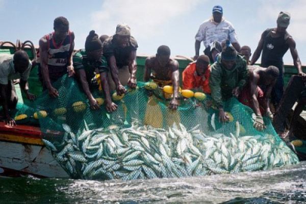 Togo: les activités de pêche reprennent sur le lac Nangbéto