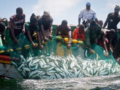 togo-les-activites-de-peche-reprennent-sur-le-lac-nangbeto