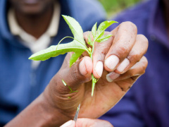 Togo: Institut des Métiers de l’Agriculture of Kara to train individuals in agribusiness and more