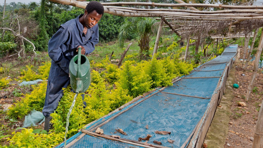 Le Togo va doter 50 zones agricoles de superstructures et de systèmes d&#039;irrigation