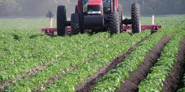 Togo : le ministère de l&#039;agriculture clôture ses premières journées portes ouvertes avec satisfaction