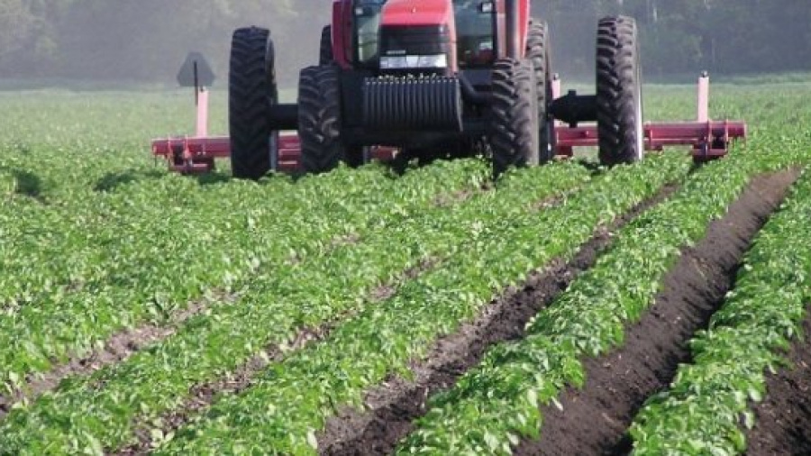 Togo : le ministère de l&#039;agriculture clôture ses premières journées portes ouvertes avec satisfaction