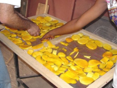 Lomé is currently hosting a two-day forum on public-private partnerships’ role in agricultural transformation