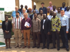 A five-year strategic action plan to boost the pineapple sector in Togo