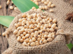 Togolese authorities improve traceability to boost soybean export revenues