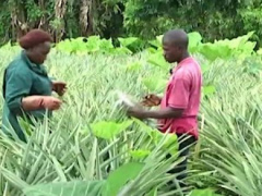 Togo counts more than 36,000 organic farmers – FIBL