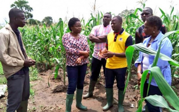 Togo pumps $1M into insurance products for local farmers