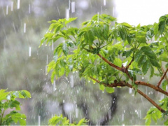 Togo: National Weather Agency Forecasts Heavy Rains in Next Three Months