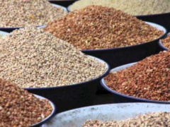 Togo records a surplus of 70,000 tons of grains for 2019-2020 campaign