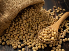 Togo to market 250,000t of soybeans in the 2021-2022 campaign