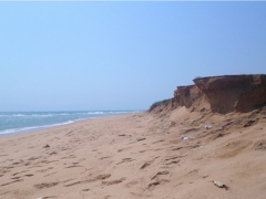 Togo gets about $9 million from GEF to make coastal communities more resilient to climate change