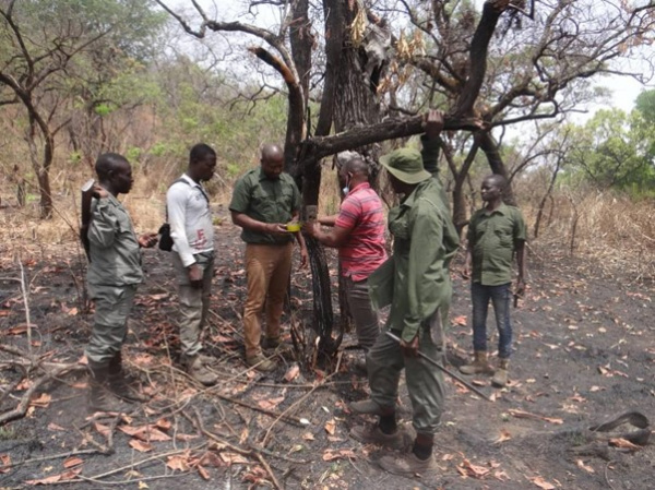 Togo : des ressources allouées pour la gestion durable du Parc Fazao-Malfakassa