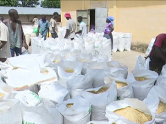 Togo: late rains could push prices of cereals higher this year