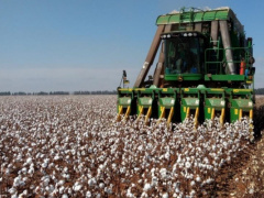 Togo’s national cotton farmers federation acquires 50 agricultural tractors to boost local output