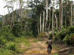 Over 10 years, the UNDP spent about €2.3 million on environmental protection in Togo