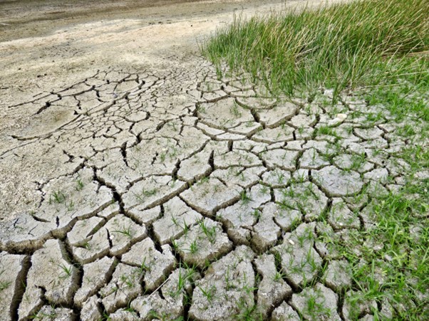 Lomé accueille dès mardi, un séminaire parlementaire sur le changement climatique