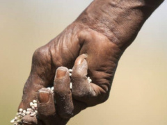 Togo : Government to spend CFA1.5 billion in 2019 on fertilizer subsidies