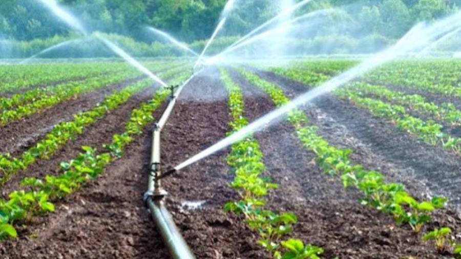 Ces actions clés qui boostent le développement agricole dans la région des Plateaux