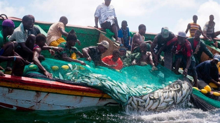 En 7 ans, la production halieutique sur le Lac Nangbéto a connu une hausse de plus de 400%