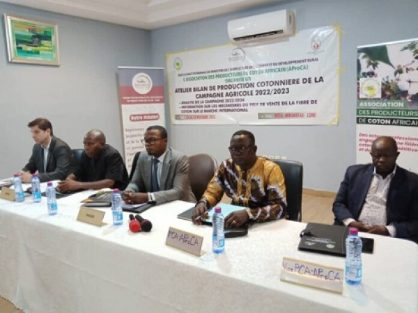Lomé hosts a key meeting focused on professionalizing the African cotton  sector - Togo First