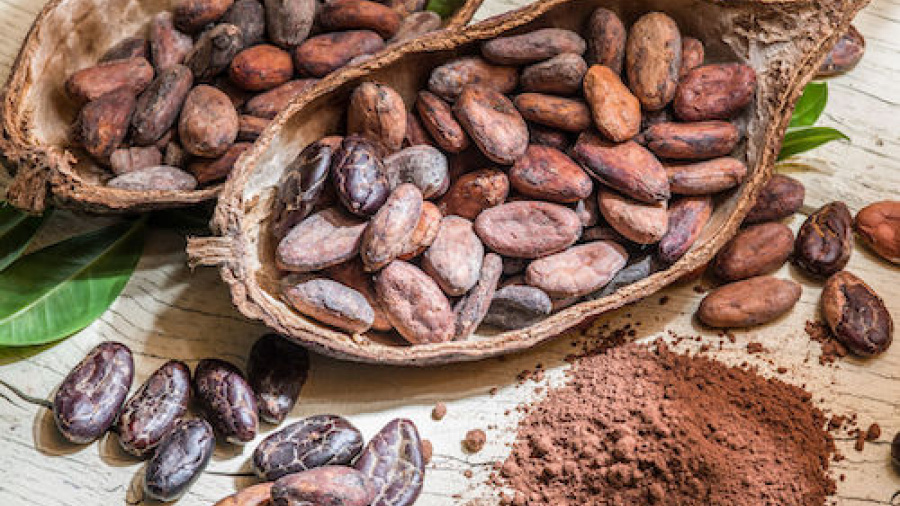 Togo : les exportations de cacao ont presque triplé au premier trimestre 2019