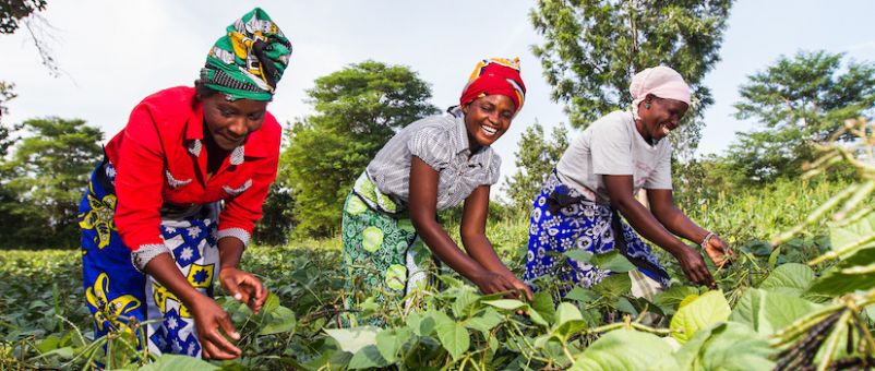 Dans les plateaux, une intercommunale pour appuyer l&#039;agropastoral