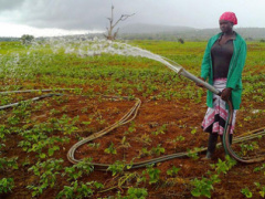 Togo and Khalifa fund ink $15 million deal to boost agriculture in the West African country