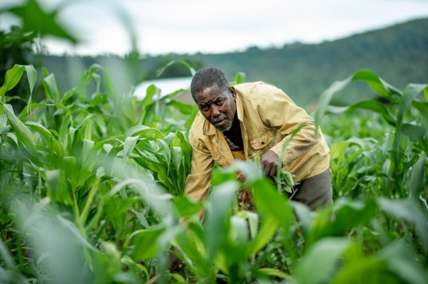 Togo : le 5ᵉ Recensement National Agricole prorogé au 29 décembre