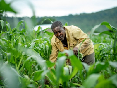 togo-le-5-recensement-national-agricole-proroge-au-29-decembre