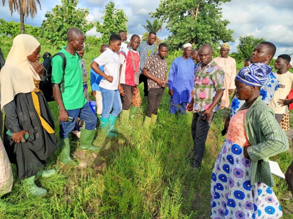 Togo Adopts Smart Valleys System for Rice Farming