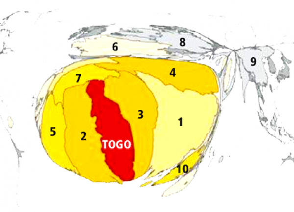 Flux internationaux : le Togo est principalement en relation avec ses voisins de l’Uemoa, selon DHL