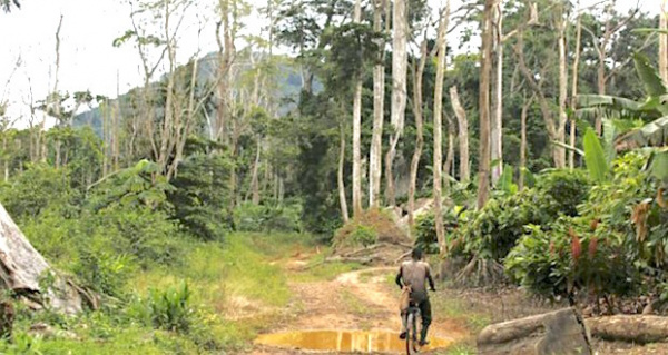 Le Togo veut définir l&#039;apport des propriétaires terriens à la protection de l’environnement