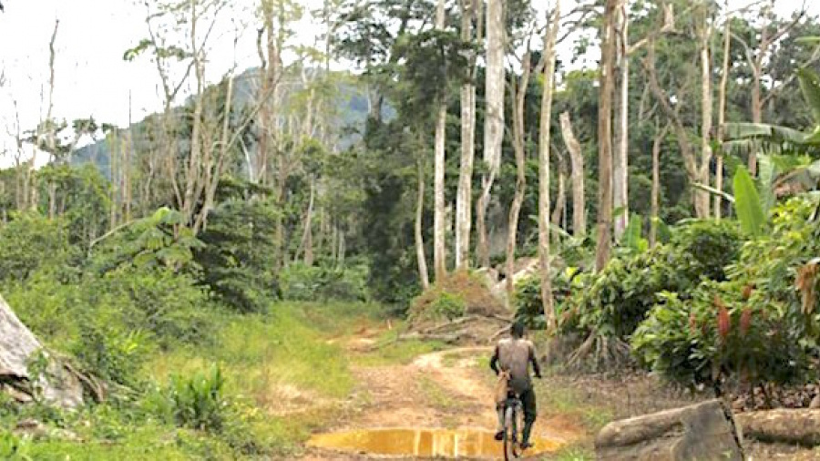 Le Togo veut définir l&#039;apport des propriétaires terriens à la protection de l’environnement