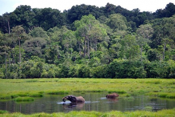 Togo Holds First National Week of Protected Areas