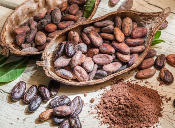 Togo exported 4,743 tons of cocoa in Q1 2019, up 271% compared to Q1 2018