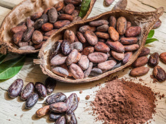 Togo exported 4,743 tons of cocoa in Q1 2019, up 271% compared to Q1 2018