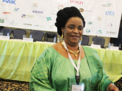 Togo: Elisabeth Pali-Tchalla calls for greater investment in the shea sector to empower women