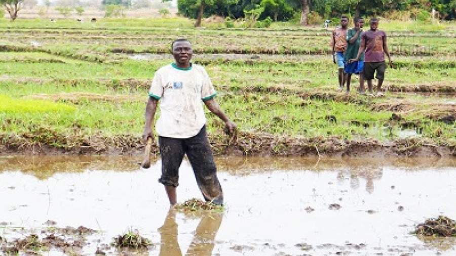 Agropole de Kara : bientôt des études techniques pour la construction de deux barrages