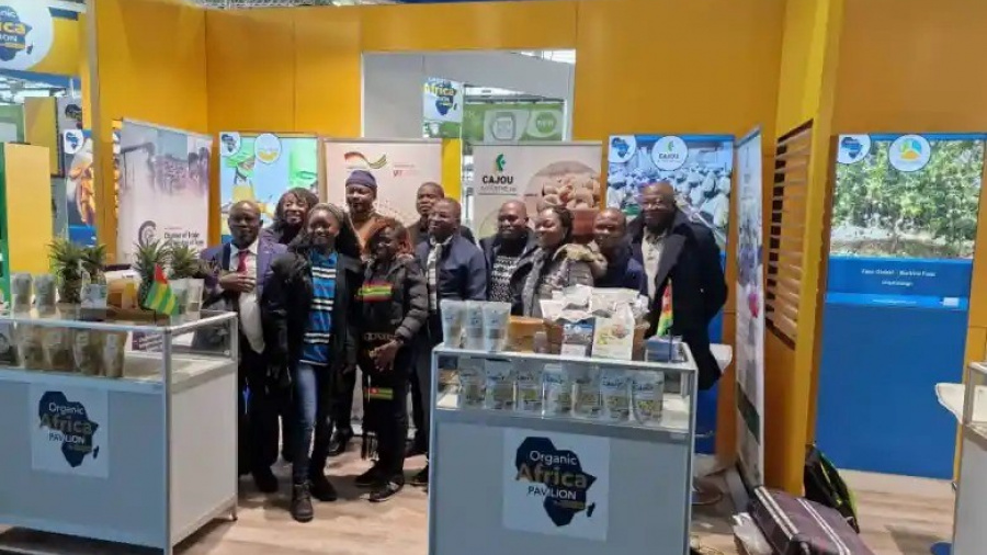 Le secteur privé togolais participe à la foire Biofach en Allemagne