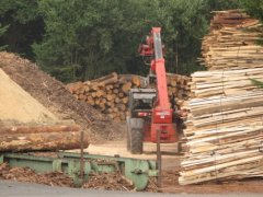 Togo: Lomé just hosted a national dialogue on the preservation of forest resources, amid rising use of firewood