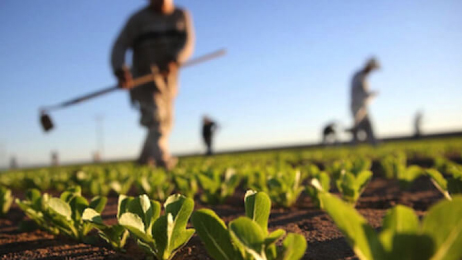 Carte de fertilité des sols : 33% des terres agricoles ont été cartographiées