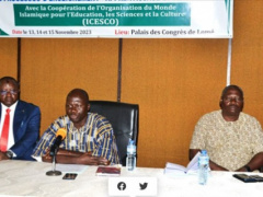 ICESCO is eager to help integrate ICTs into the Togolese education system