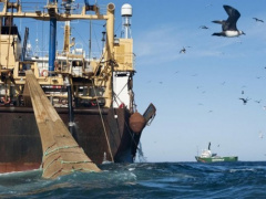 Togo and Benin recently carried out a joint operation to fight illegal fishing