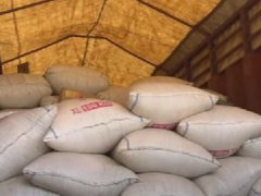 Togo: Police officers seize an important quantity of corn being illegally sent to Benin