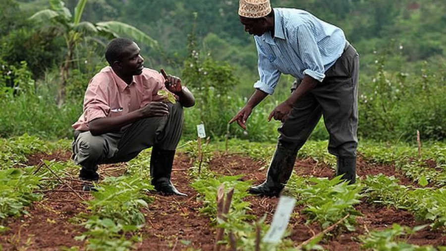 Togo : les producteurs de Karité, Anacarde et Soja, se forment à l&#039;entrepreneuriat