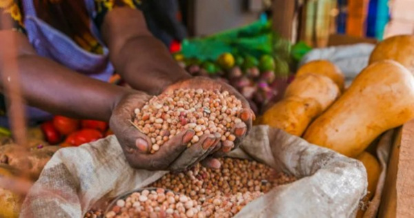 Togo : en 2025, une prévision budgétaire de 19 milliards FCFA pour la sécurité alimentaire