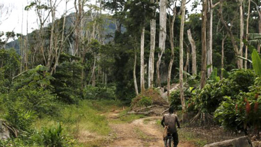 En 10 ans, le PNUD a injecté environ 2,3 millions euros dans la protection de l’environnement  au Togo